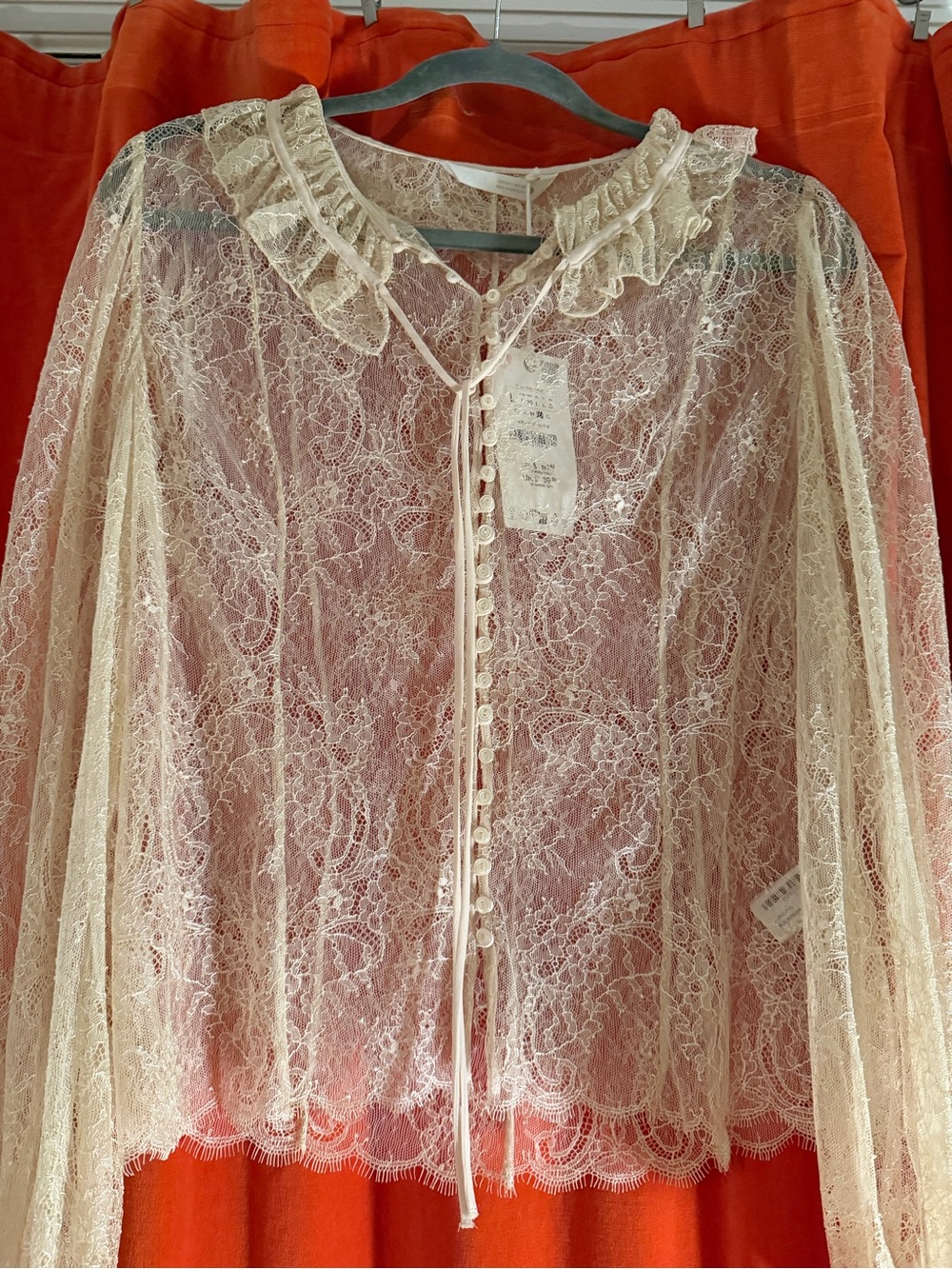 NWT Zara Sheer Ivory Lace Blouse with Ruffled Collar